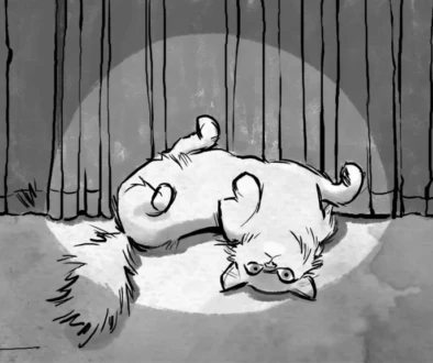 Cat sitting under a bright spotlight surrounded by cameras representing storytelling and attention on social media