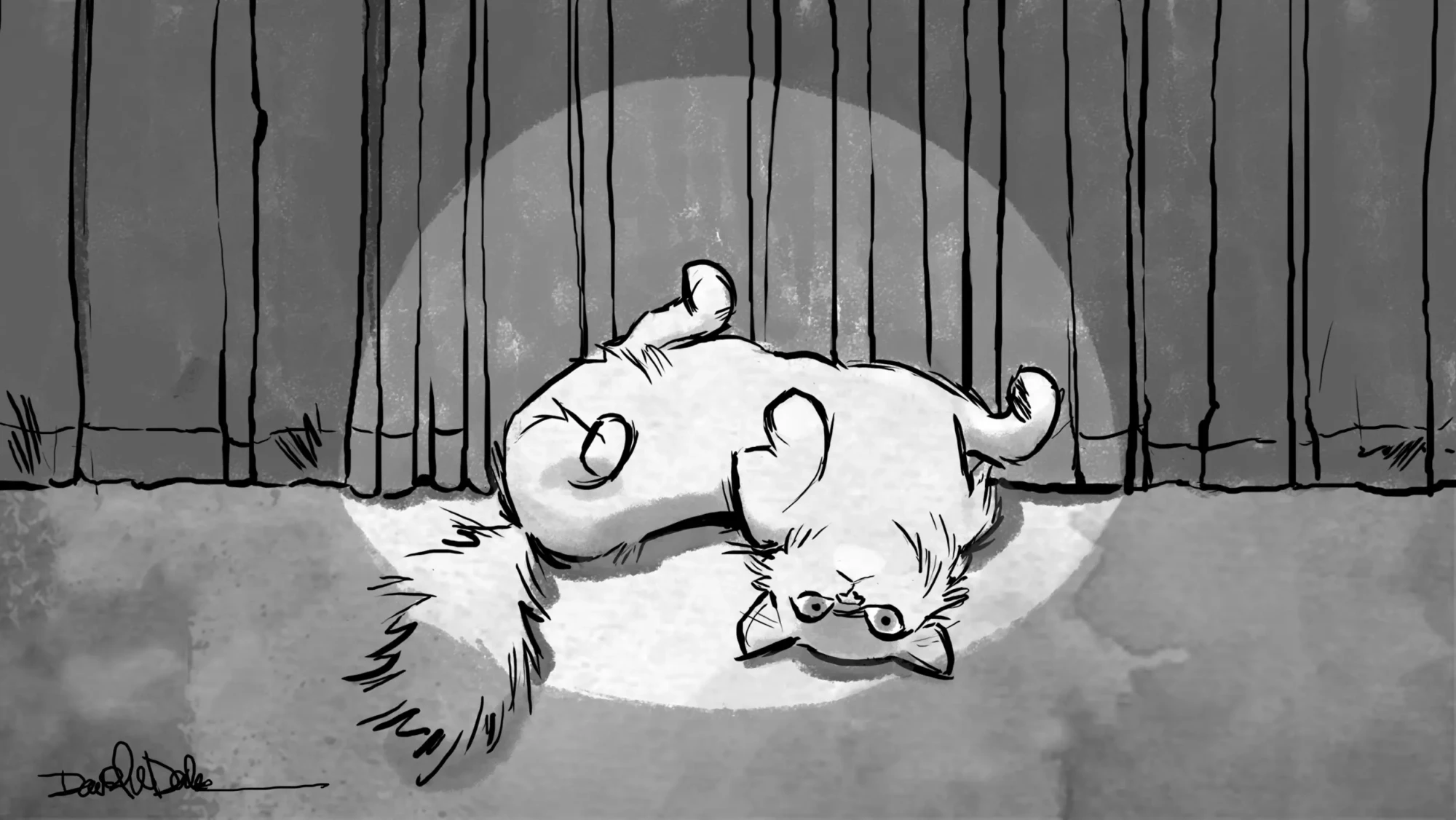 Cat sitting under a bright spotlight surrounded by cameras representing storytelling and attention on social media